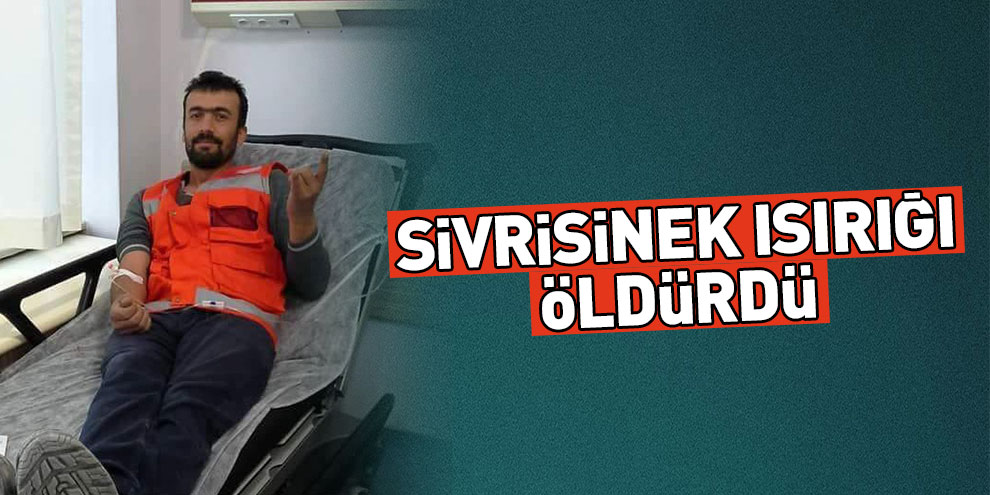 Sivrisinek ısırığı öldürdü