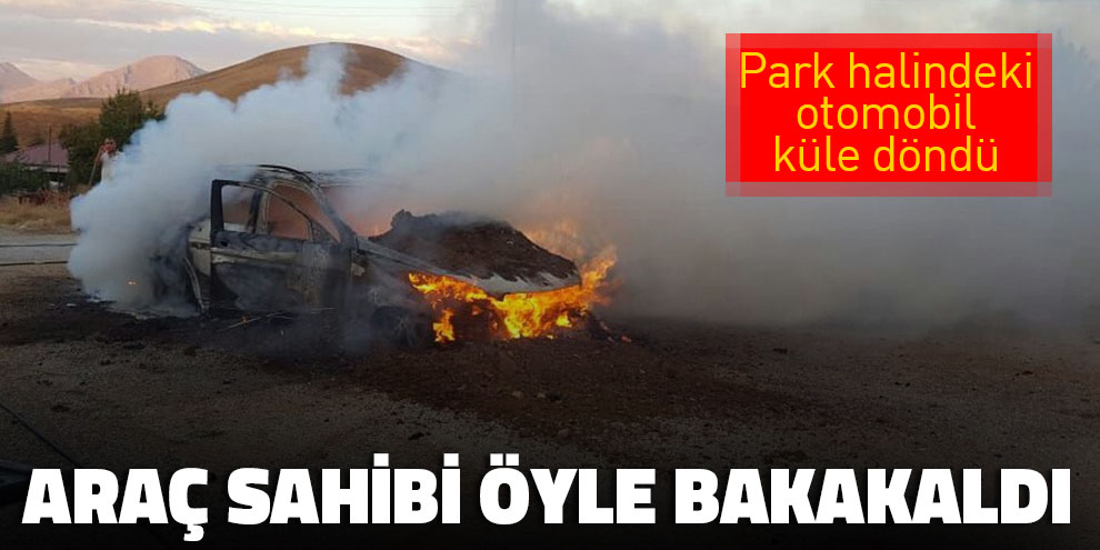 Park halindeki otomobil, küle döndü