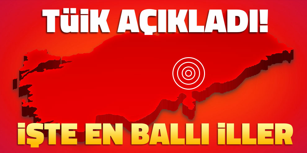 TÜİK açıkladı! İşte en ballı iller