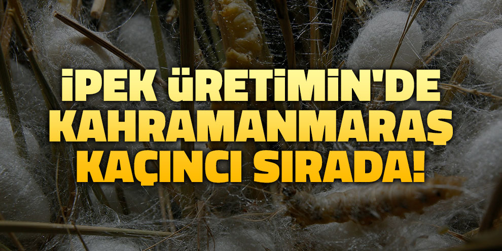 İpek üretimin'de Kahramanmaraş kaçıncı sırada!