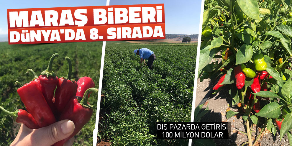 Maraş biberi Dünya'da 8. sırada