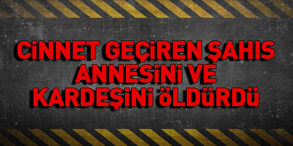 Cinnet geçiren şahıs, annesini ve kardeşini öldürdü