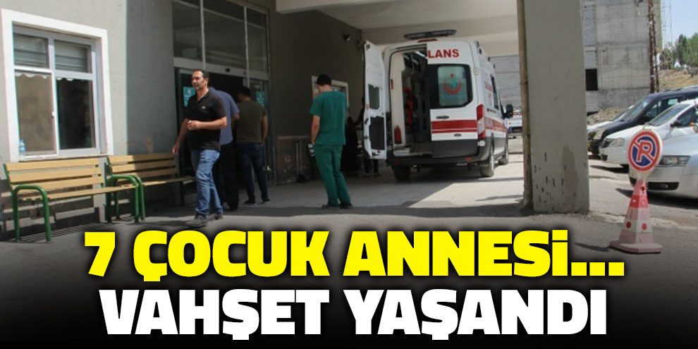 7 çocuk annesi... Vahşet yaşandı