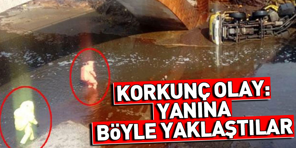 Korkunç olay: Yanına böyle yaklaştılar
