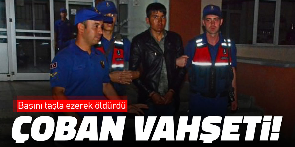 Çoban vahşeti! Başını taşla ezerek öldürdü