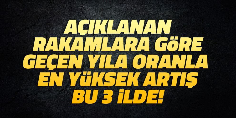 Açıklanan rakamlara göre geçen yıla göre en yüksek artış bu 3 ilde!