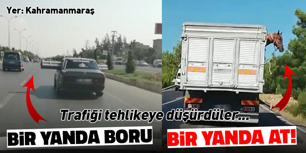 Bir yanda boru, bir yanda at! Trafiği tehlikeye düşürdüler...