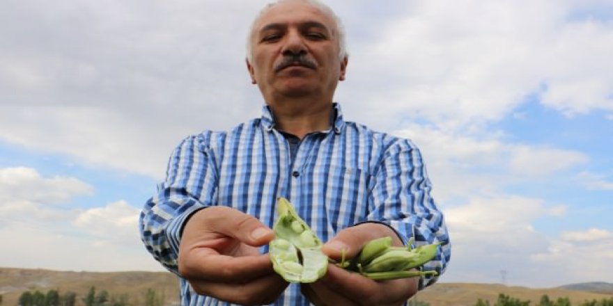 8 kilo ekti, 2 ton ürün aldı! Talebe yetişemiyor