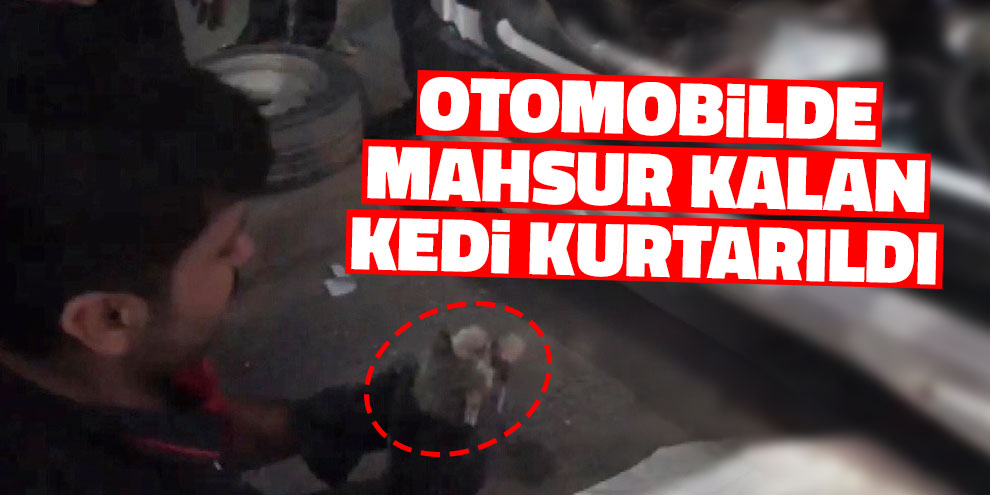Otomobilde mahsur kalan kedi kurtarıldı