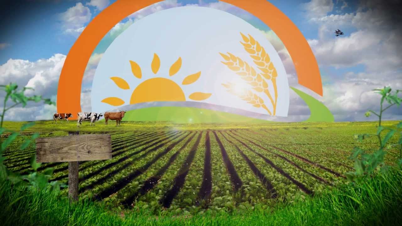 Müjdeyi Bakan açıkladı! Ödemeler artırılacak