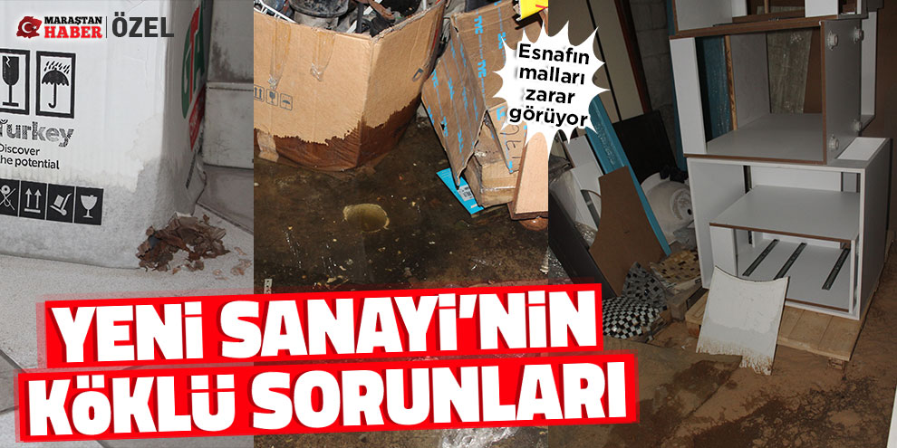 Yeni Sanayi’nin köklü sorunları
