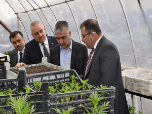 CUMHURBAŞKANI DANIŞMANI TURAN AFŞİN’DE