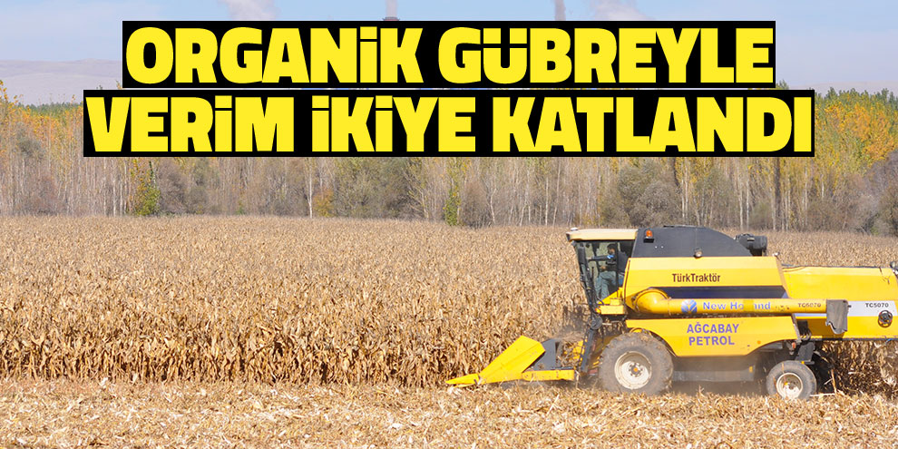 Organik gübreyle verim ikiye katlandı