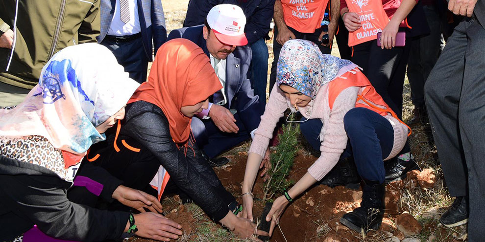 Başkan Erkoç: “Sizin de bir dikili ağacınız olsun”
