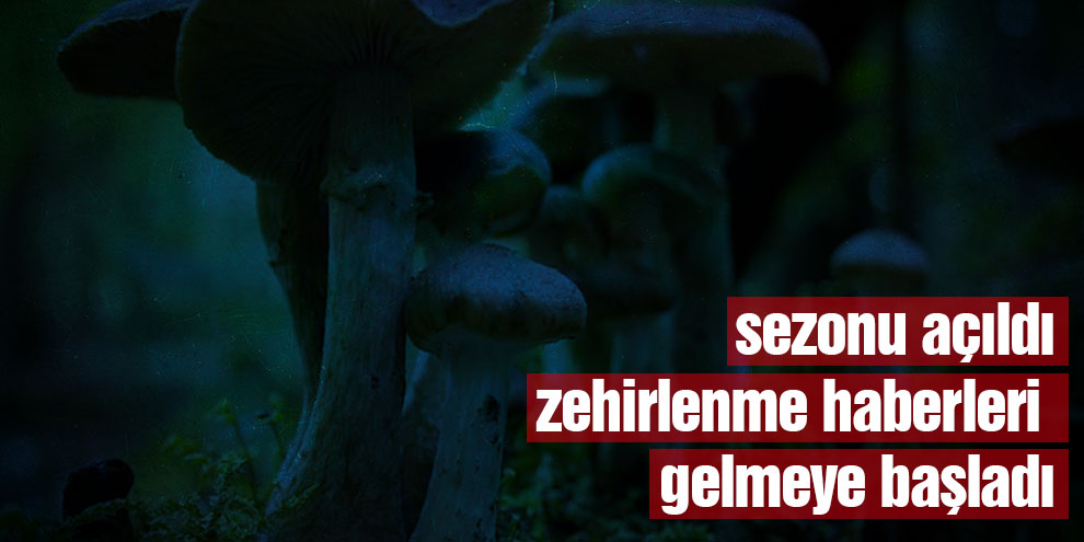 Mantardan 8 kişi zehirlendi