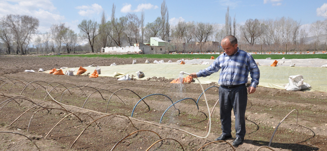BU MAHALLENİN GEÇİM KAYNAĞI FİDE SERACILIĞI