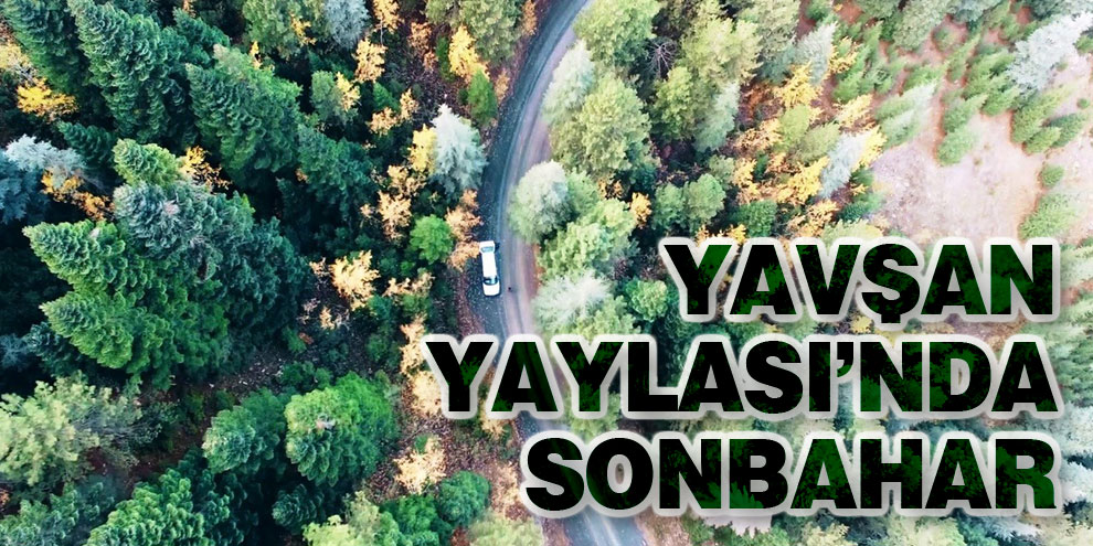 Yavşan Yaylası’nda sonbahar