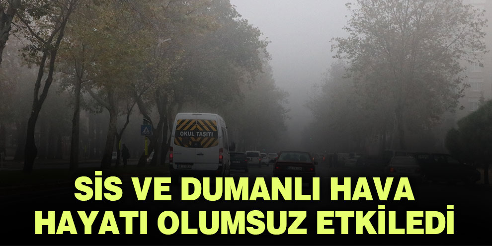 Sis ve dumanlı hava hayatı olumsuz etkiledi