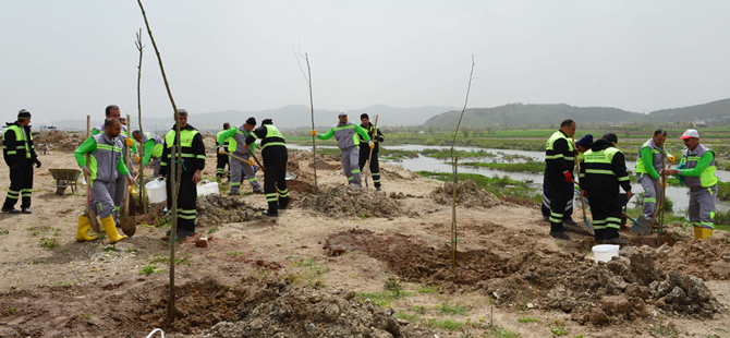 BAŞKAN ERKOÇ: “ESKİ ÇÖPLÜK ALANINI AĞAÇLANDIRIYORUZ”