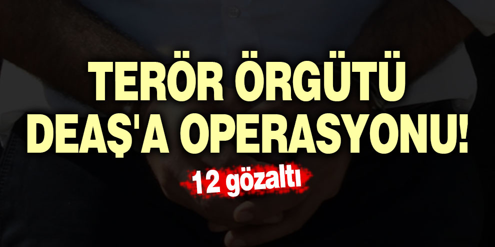 Terör örgütü DEAŞ'a operasyonu! 12 gözaltı