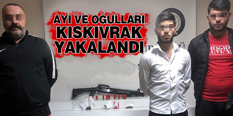 Ayı ve oğulları kıskıvrak yakalandı