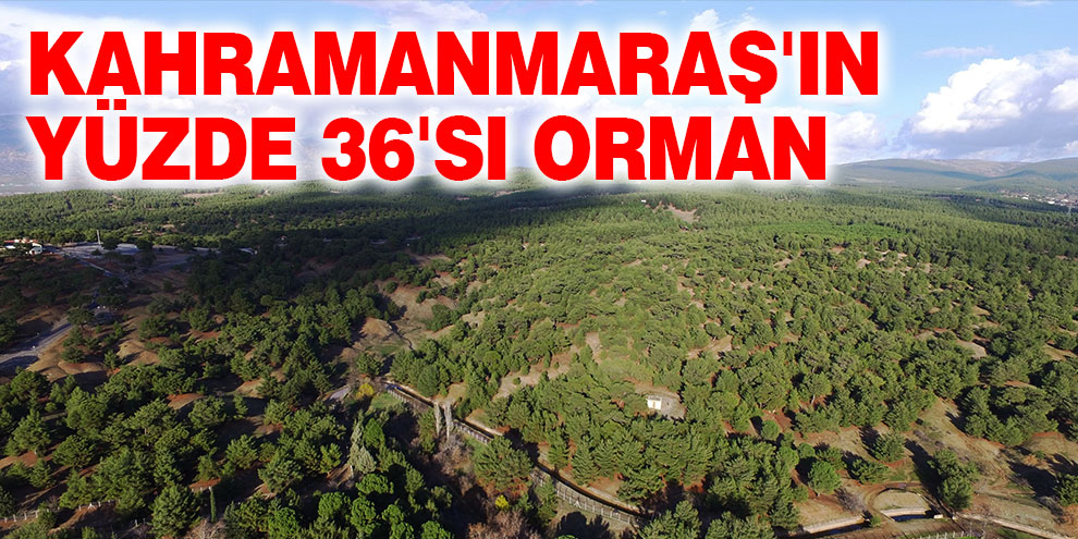 Kahramanmaraş'ın yüzde 36'sı orman