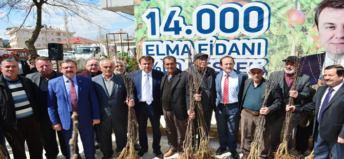 BÜYÜKŞEHİR’DEN ÇİFTÇİLERE ELMA FİDANI