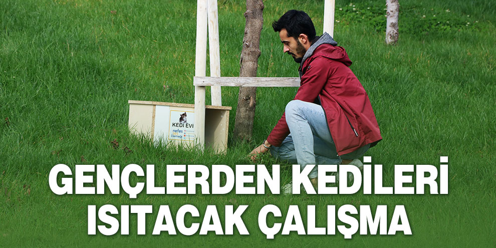 Gençlerden kedileri ısıtacak çalışma