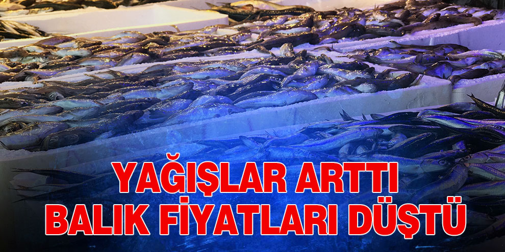 Yağışlar arttı balık fiyatları düştü