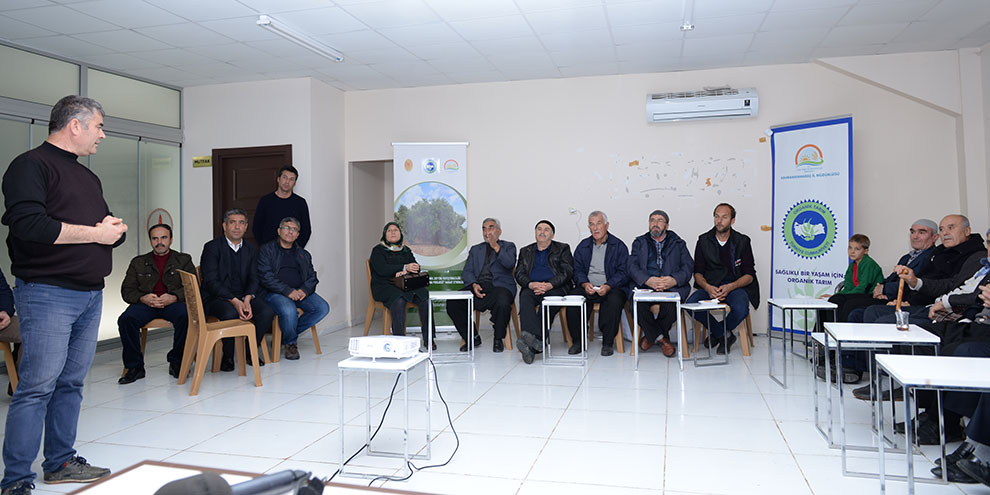 Kahramanmaraş’ta organik zeytin yetiştiriciliği başlıyor