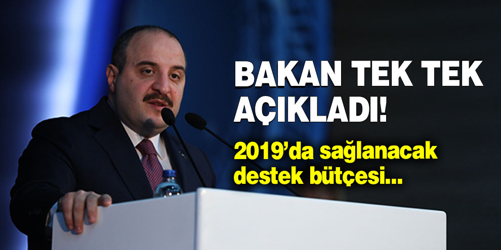 Bakan açıkladı! 2019'da destek yağmuru başlıyor