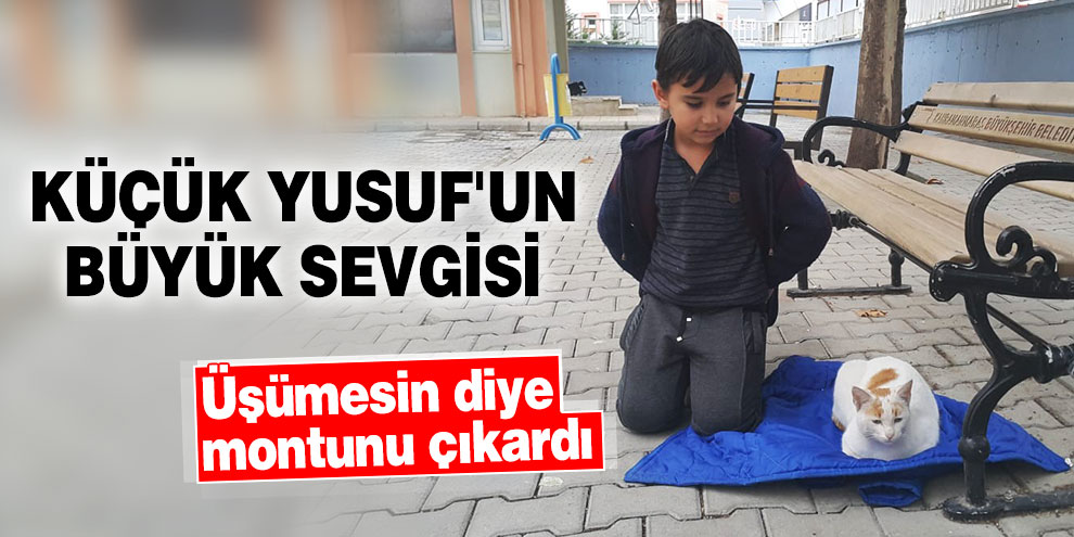 Küçük Yusuf'un büyük sevgisi