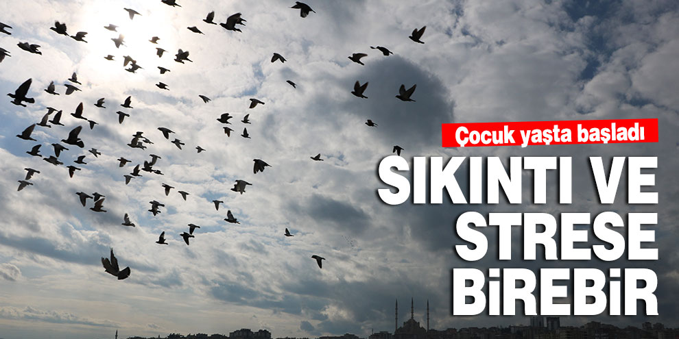 Sıkıntı ve strese birebir! Gözü gibi bakıyor