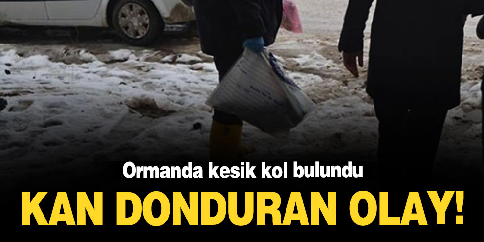 Kan donduran olay! Ormanda kesik kol bulundu