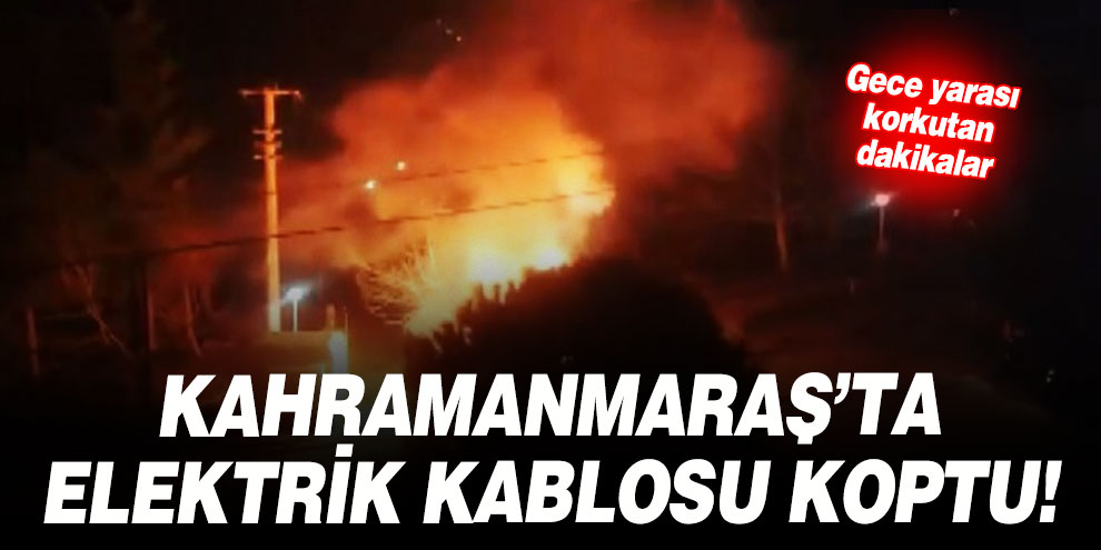 Kopan elektrik kablosu ağacı yaktı
