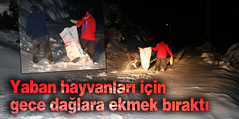 Yaban hayvanları için gece dağlara ekmek bıraktı