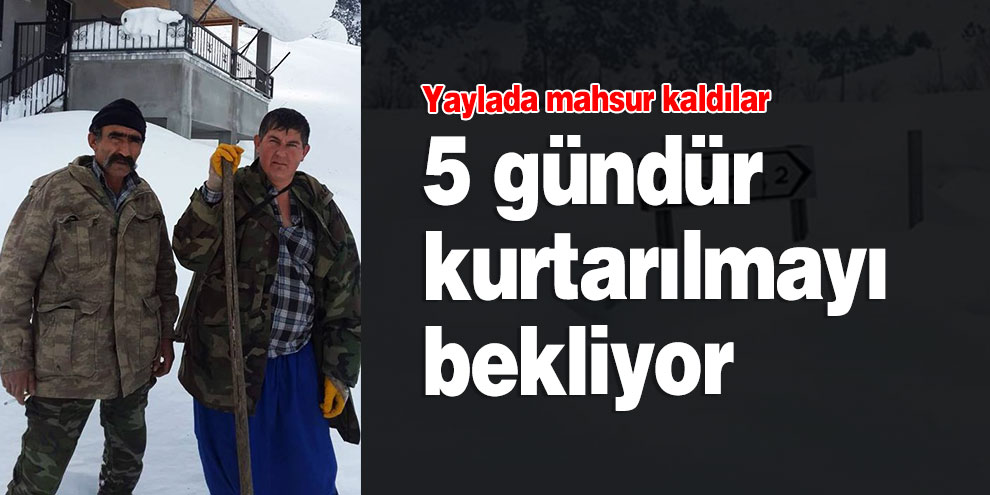 Yaylada mahsur kalan dayı yeğen 5 gündür kurtarılmayı bekliyor
