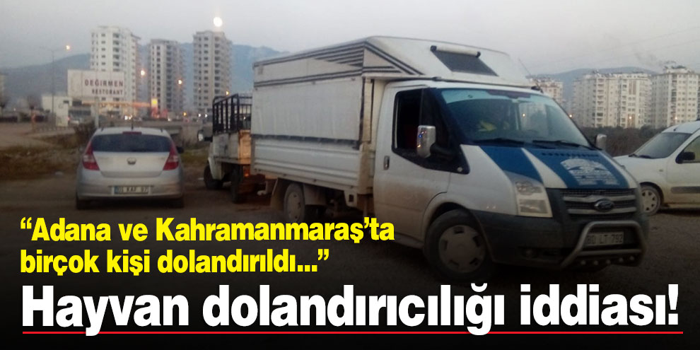 Hayvan dolandırıcılığı iddiası! 2 gözaltı