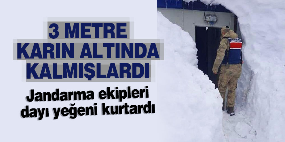 Yaylada mahsur kalan dayı yeğen kurtarıldı