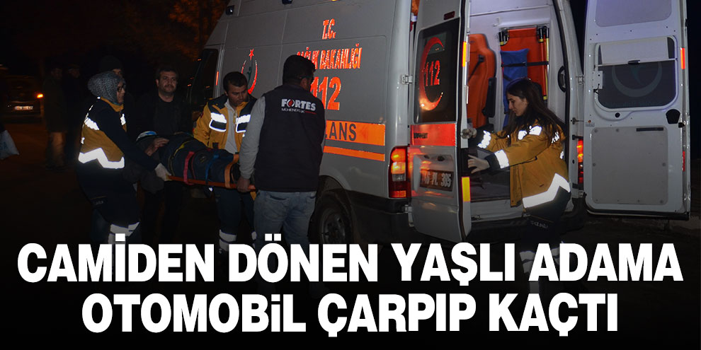 Camiden dönen yaşlı adama otomobil çarpıp kaçtı