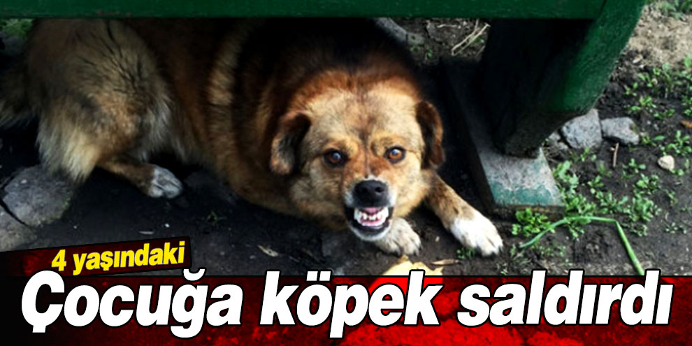 4 yaşında ki çocuğun korku dolu anları