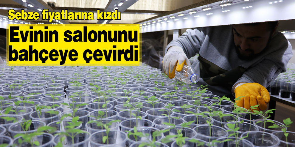 Sebze fiyatlarına kızdı evinin salonunu bahçeye çevirdi