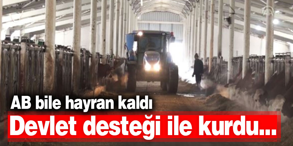 Devlet desteği ile kurdu... AB'den onay aldı!