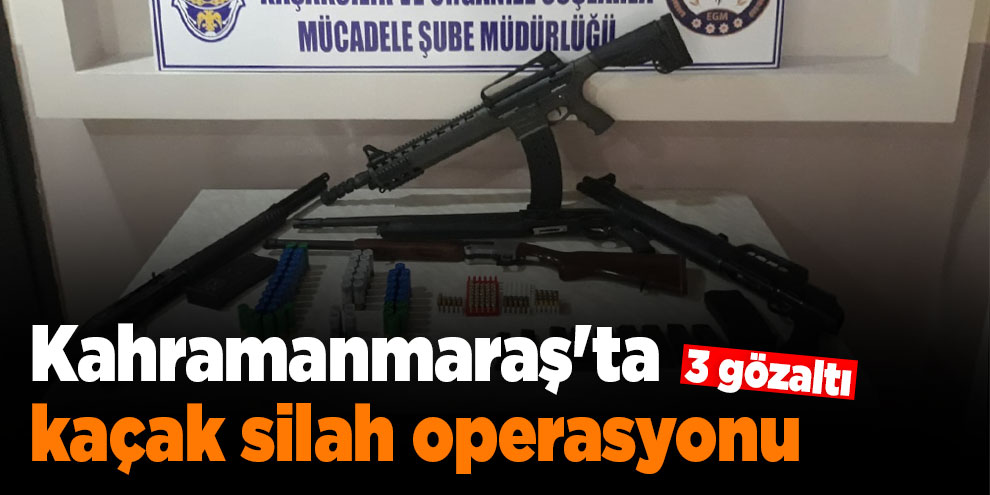 Kahramanmaraş'ta kaçak silah operasyonu