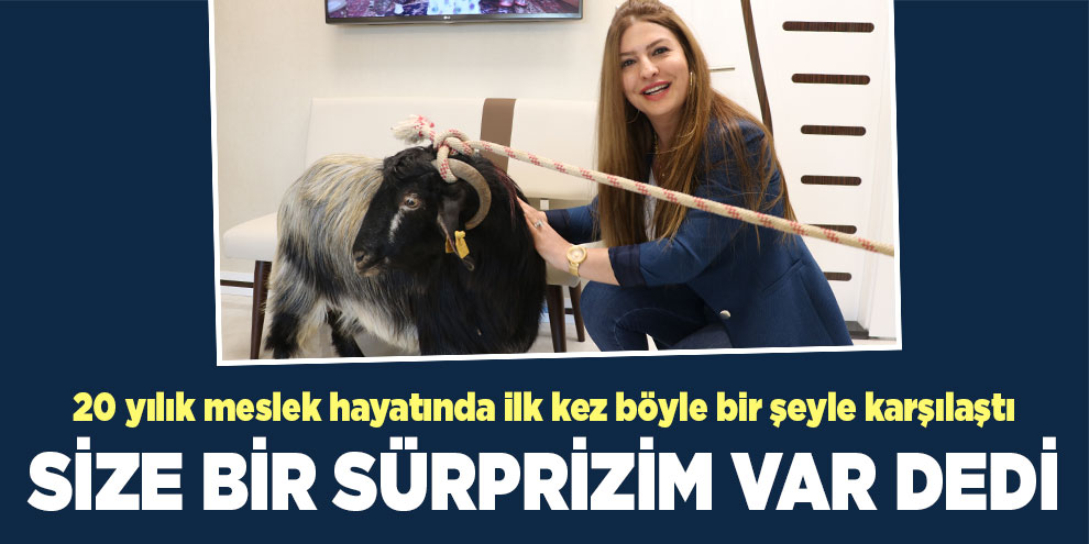 Avukatlık ücretini "keçiyle" ödedi