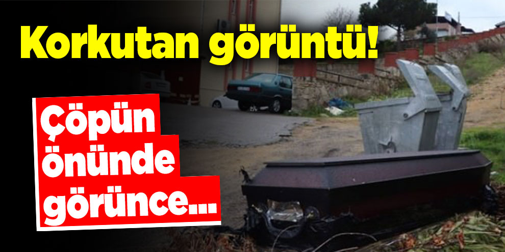Çöpün önünde görünce... Korkutan görüntü!