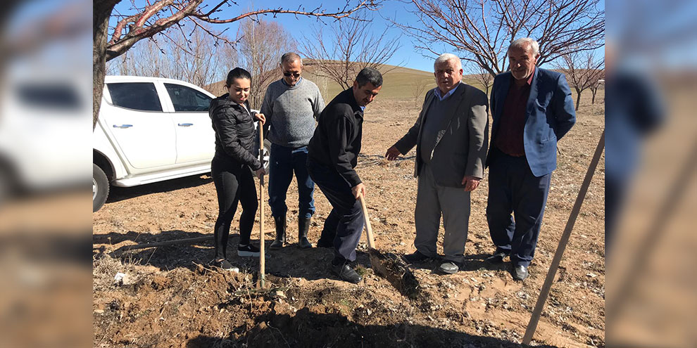 Elbistan’da kaysı ağaçlarına Gidya uygulaması