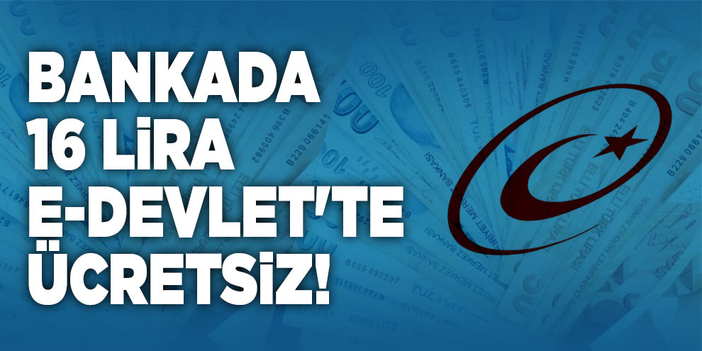 Bankada 16 lira e-Devlet'te ücretsiz!