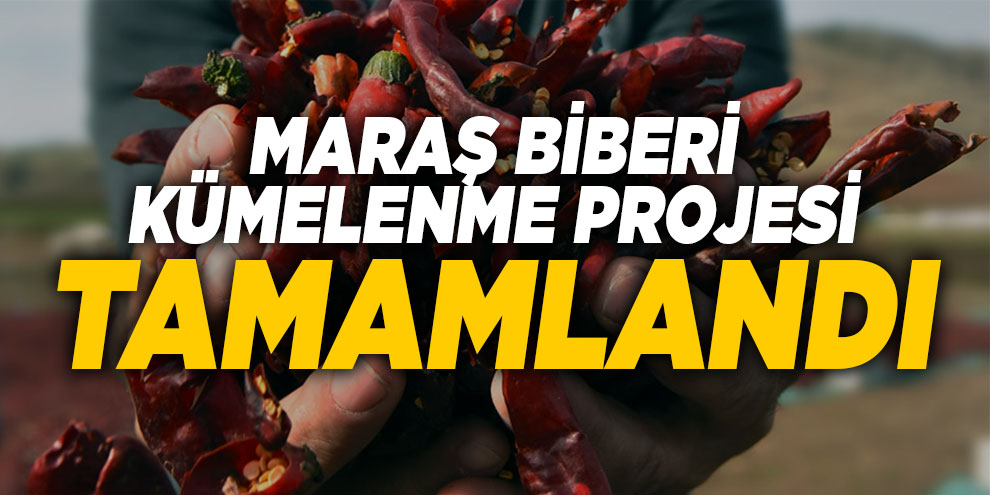 Maraş Biberi kümelenme projesi başarıyla tamamlandı