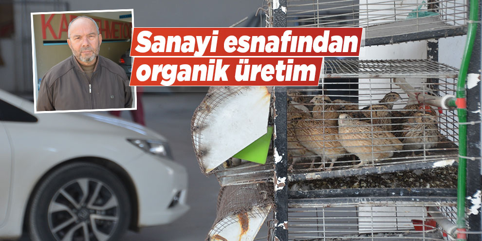 Sanayi esnafından organik üretim